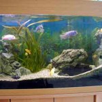 rg_aquarium