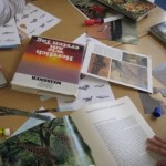 workshop-5-3