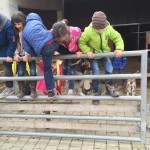 1 Ausflug Schulbauernhof