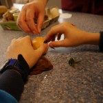 12 Experimente mit Eiern